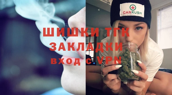 прущие грибы Балахна