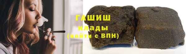 прущие грибы Балахна