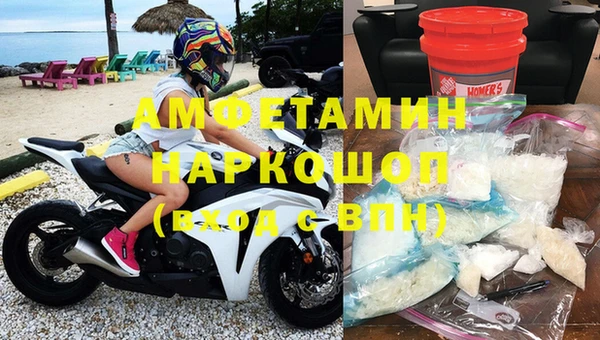 прущие грибы Балахна
