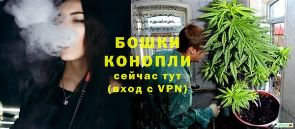 прущие грибы Балахна