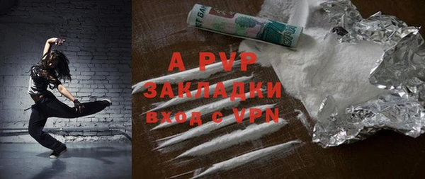 прущие грибы Балахна