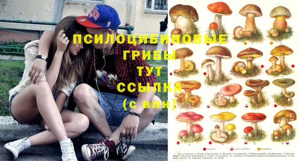 прущие грибы Балахна