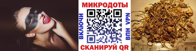 Галлюциногенные грибы Psilocybe  Старица 
